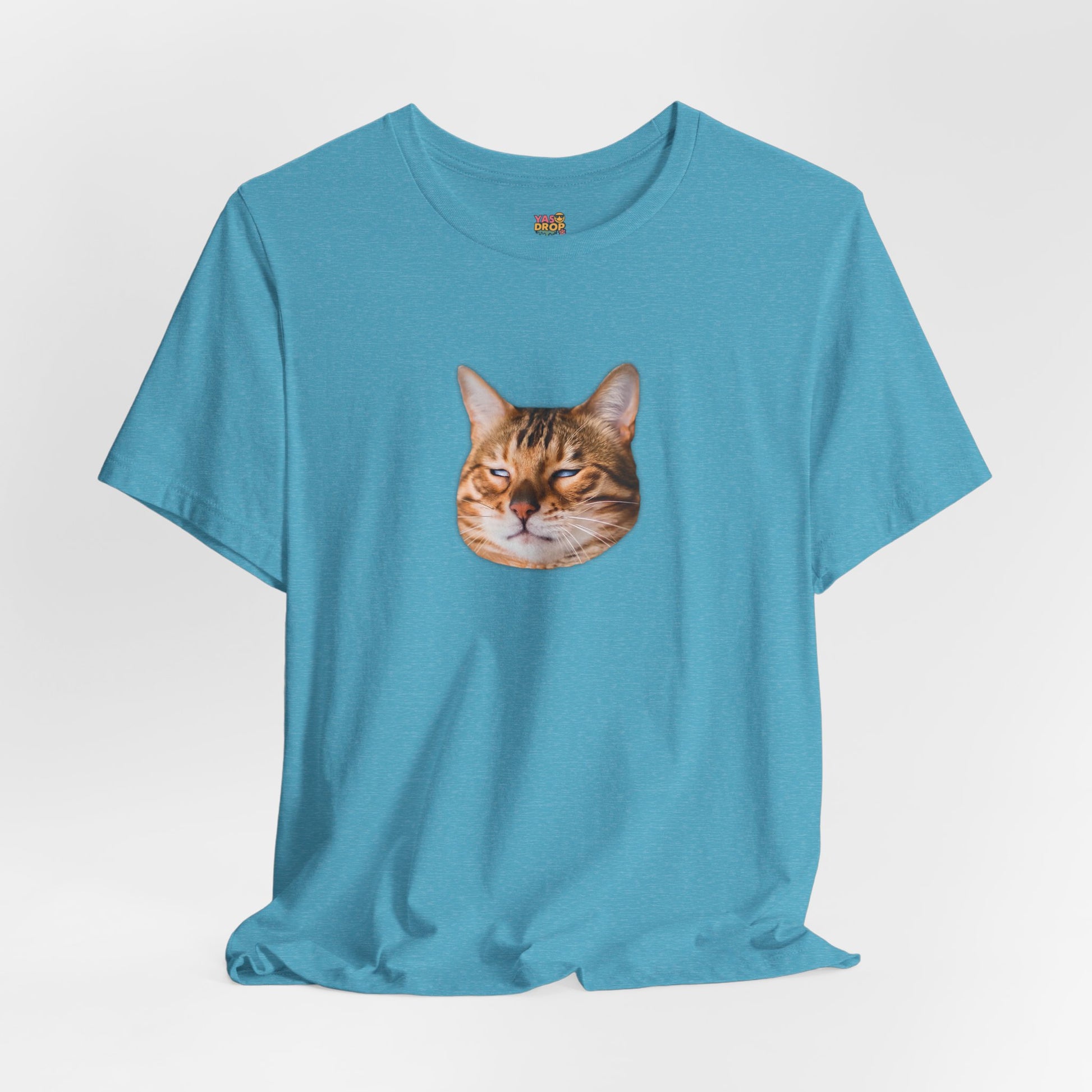 The Judgemental Cat Graphic Tee | Aesthetic Streetwear Top