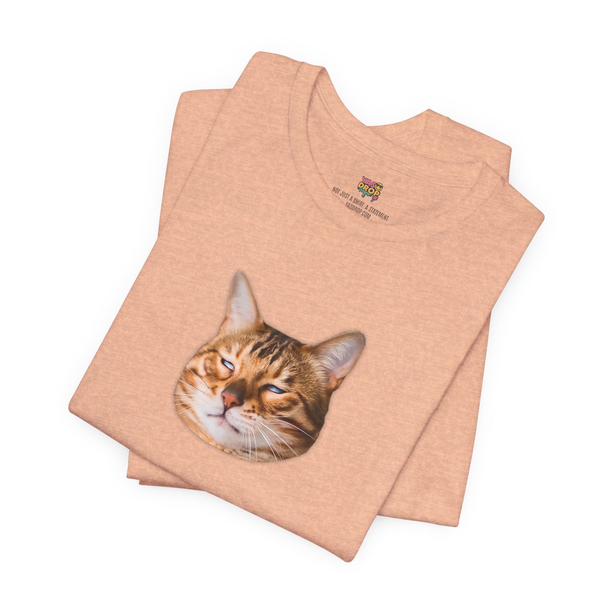 The Judgemental Cat Graphic Tee | Aesthetic Streetwear Top