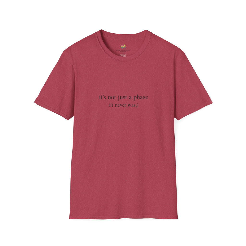 It’s Not Just a Phase T-Shirt – Sadboi Softgirl Aesthetic Tee