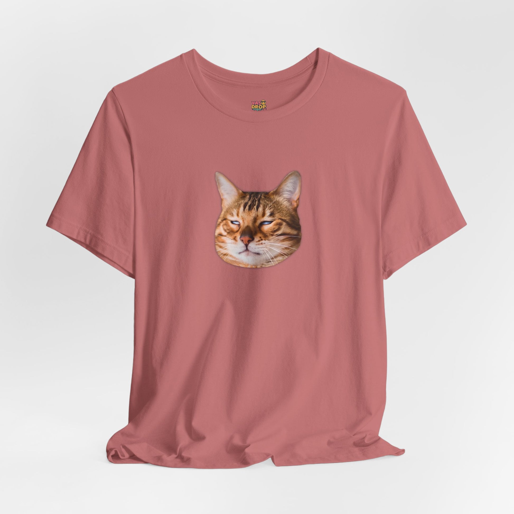 The Judgemental Cat Graphic Tee | Aesthetic Streetwear Top