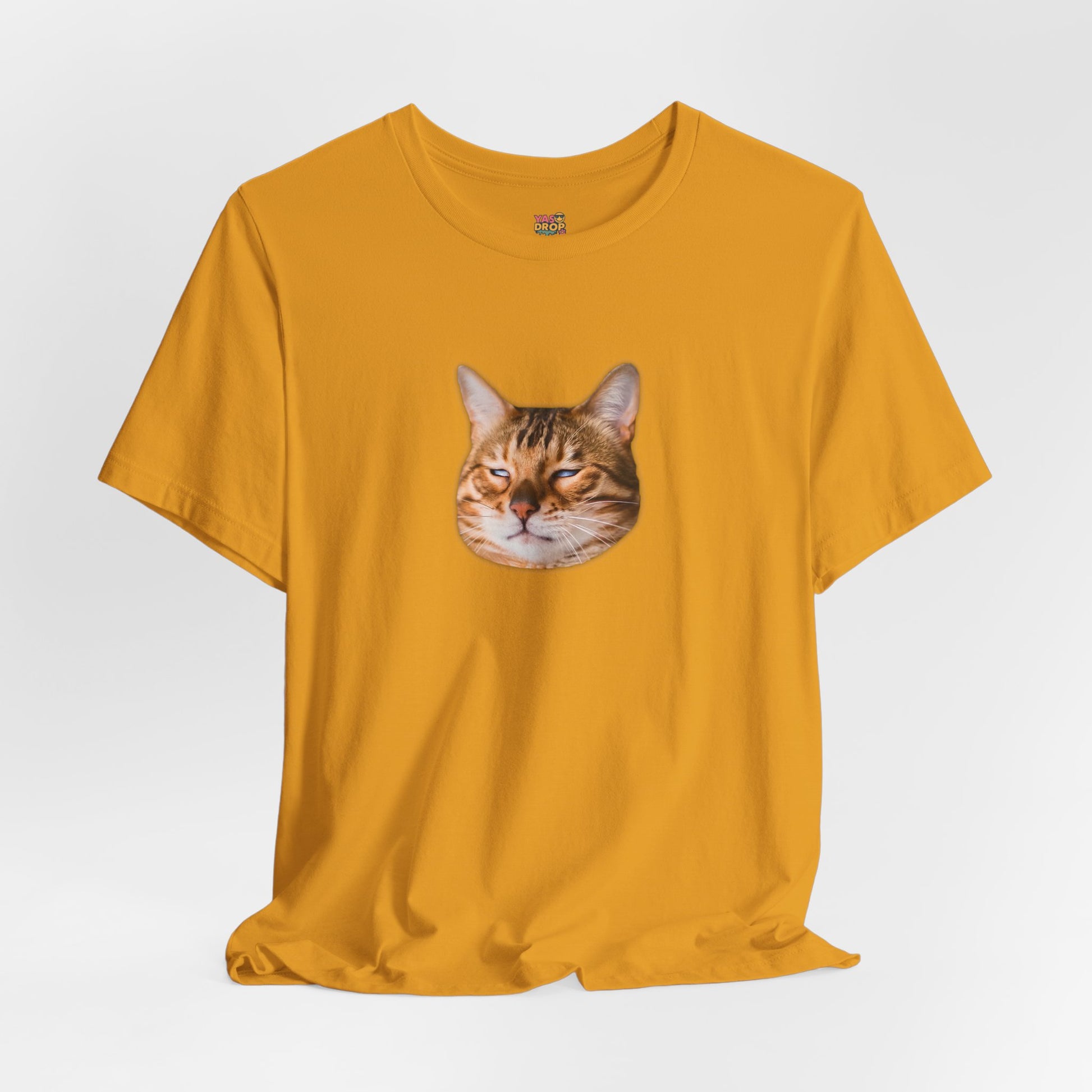 The Judgemental Cat Graphic Tee | Aesthetic Streetwear Top