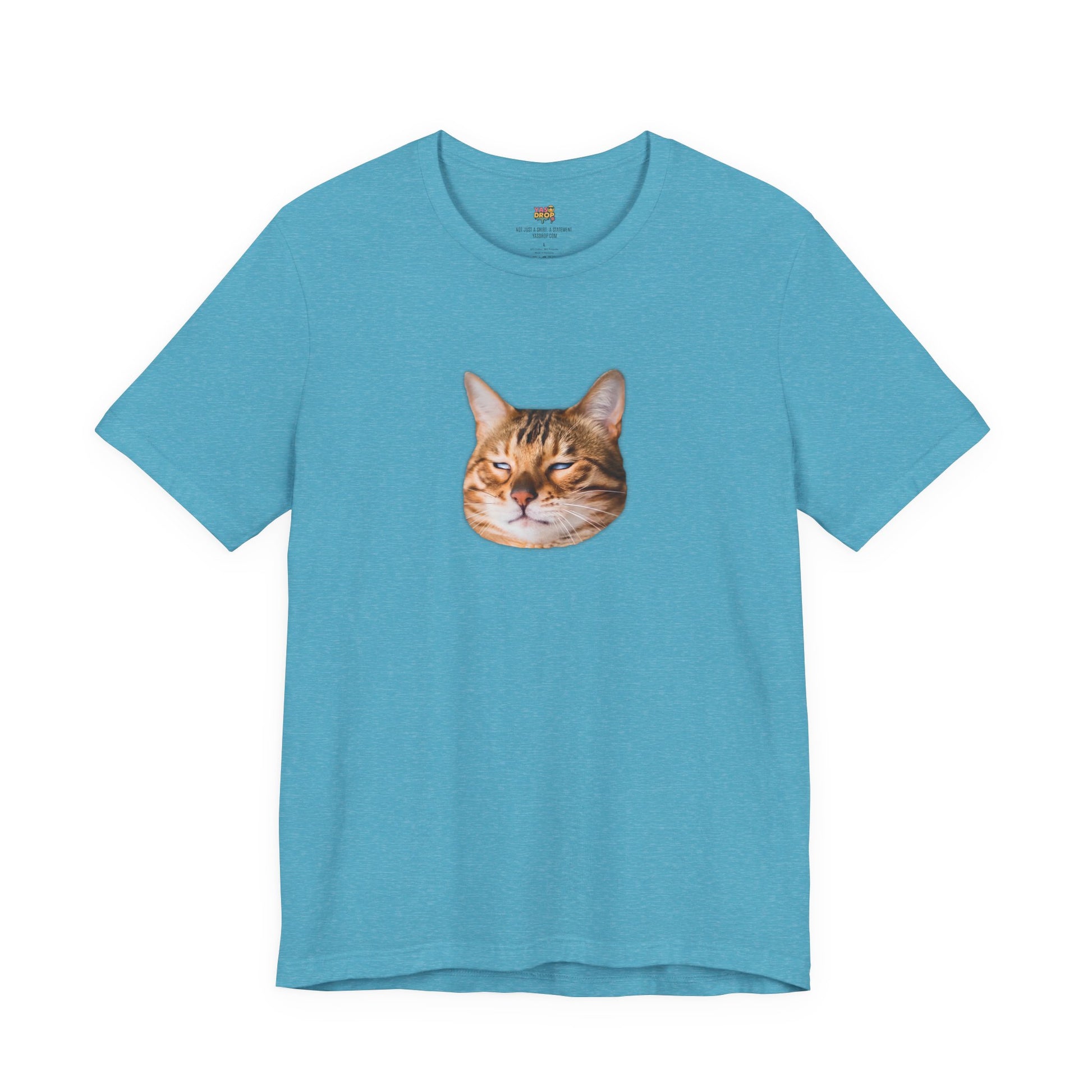 The Judgemental Cat Graphic Tee | Aesthetic Streetwear Top