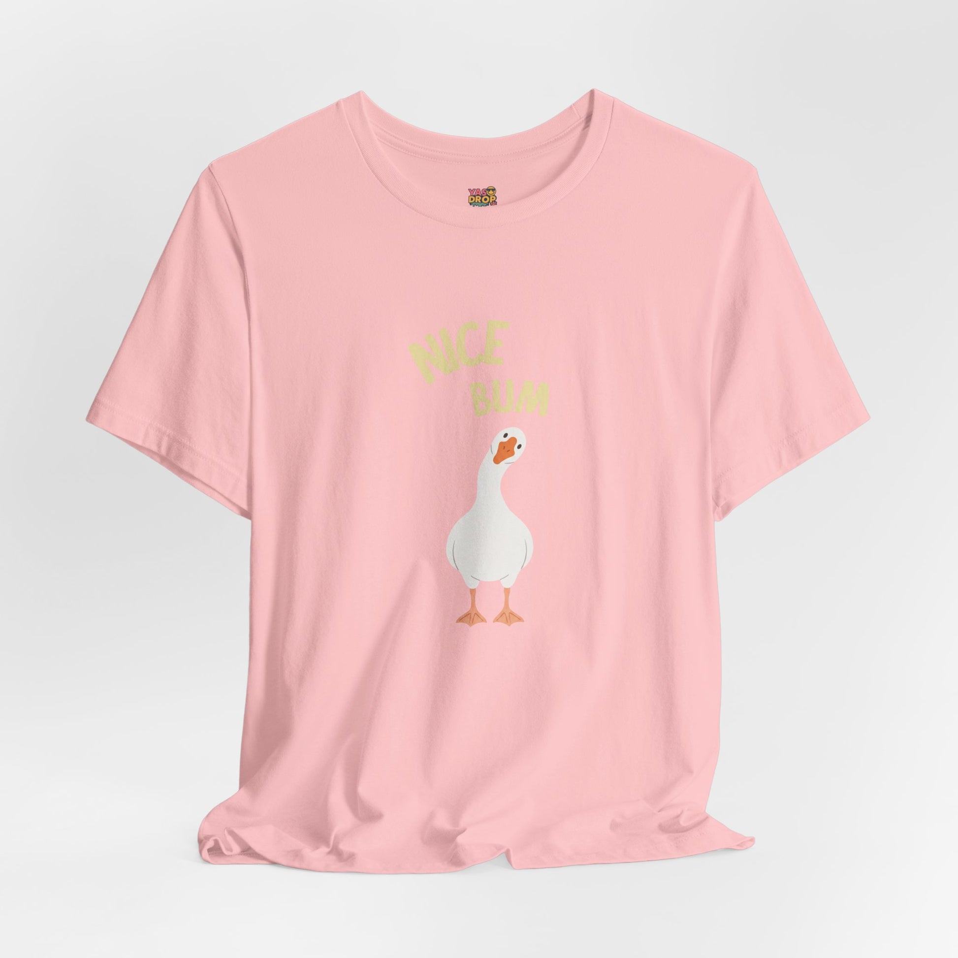 "Nice Bum" Silly Goose Graphic Tee – Ironic Minimalist Streetwear