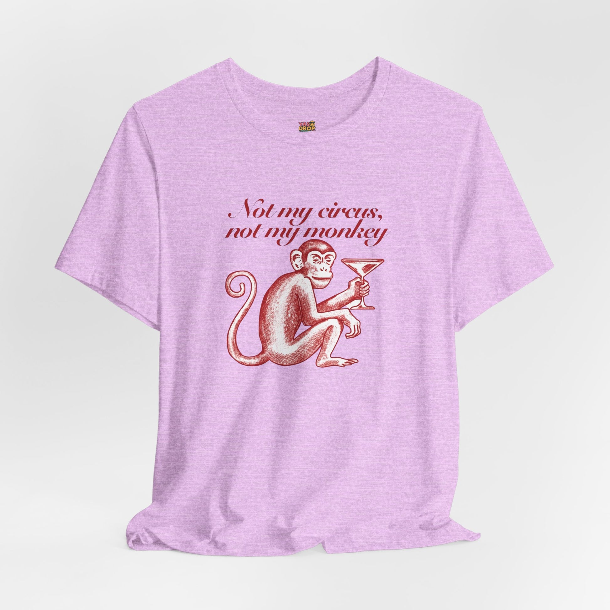 Not My Circus Not My Monkey Graphic Tee - Ironic Vintage Streetwear T-Shirt