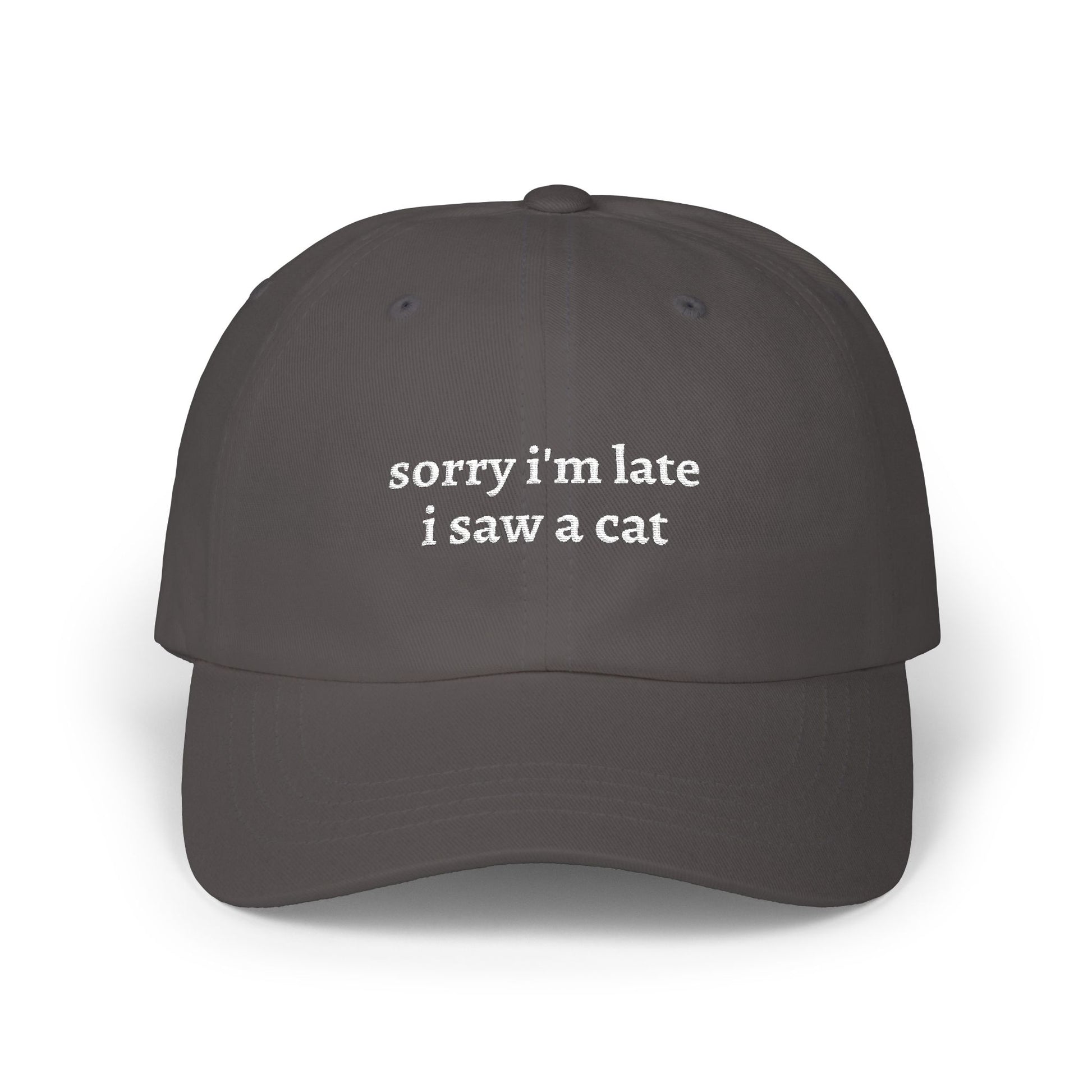"Sorry I'm Late I Saw A Cat" Embroidered Hat gray