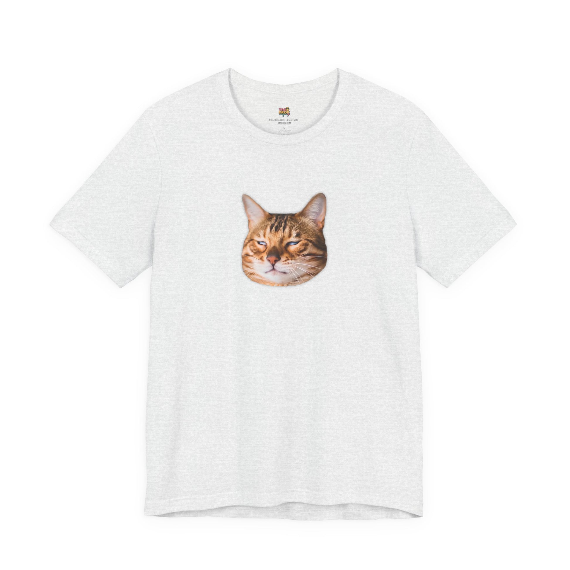 The Judgemental Cat Graphic Tee | Aesthetic Streetwear Top ash